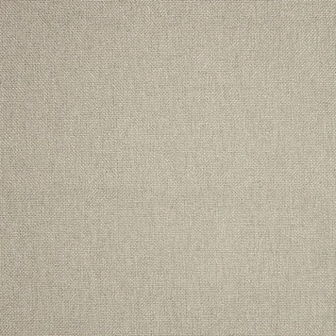Belgian  Nickel actual fabric sample