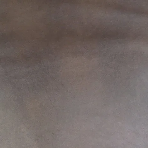 Bravo Mesquite actual fabric sample