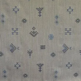 Embasa Denim actual fabric sample