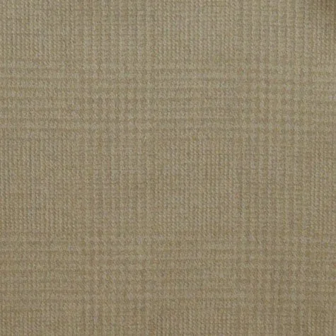 Frasure Sand actual fabric sample