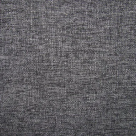 Lexi Seal actual fabric sample
