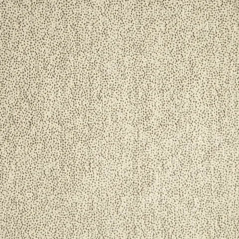 Scardino Stone actual fabric sample