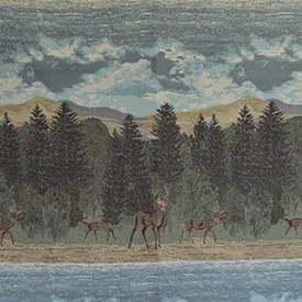 Windham Multi actual fabric sample