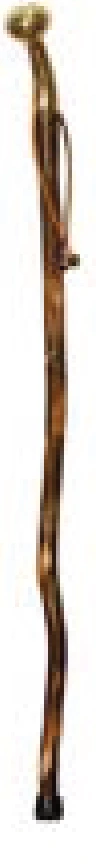 Trail Companion Hickory Brass-Top Cane