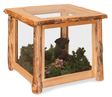 Timber Hollow Rustic Pine Glass-Panel End Table