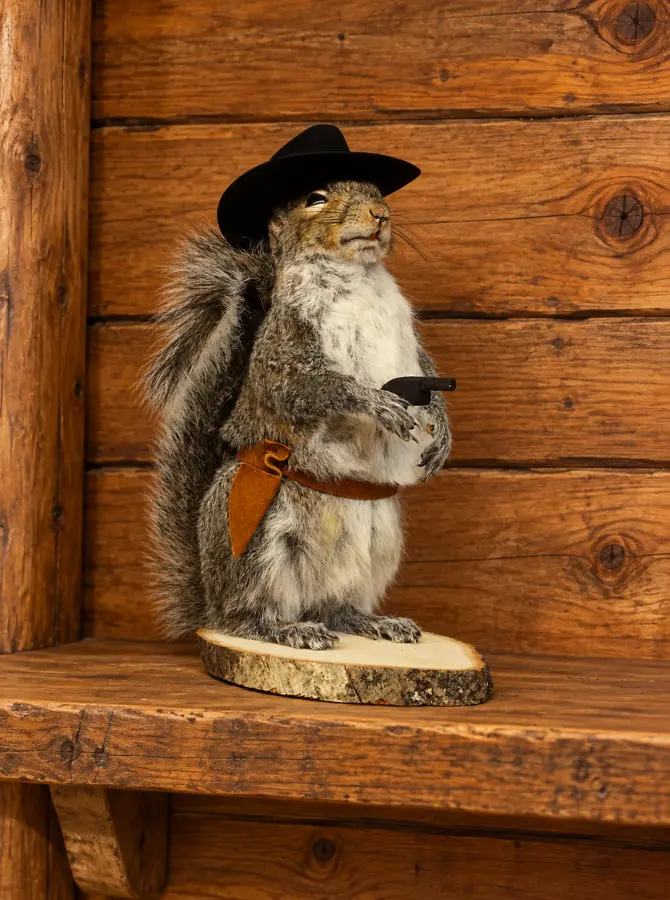 Frontier Squirrel Display in a rustic cabin