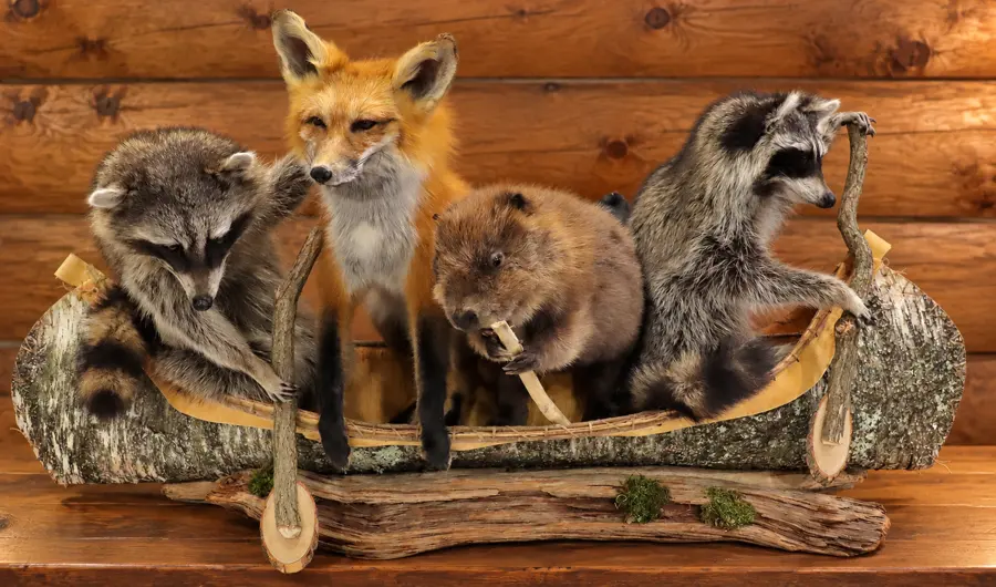 Woodland Crew Canoe Display in a rustic cabin