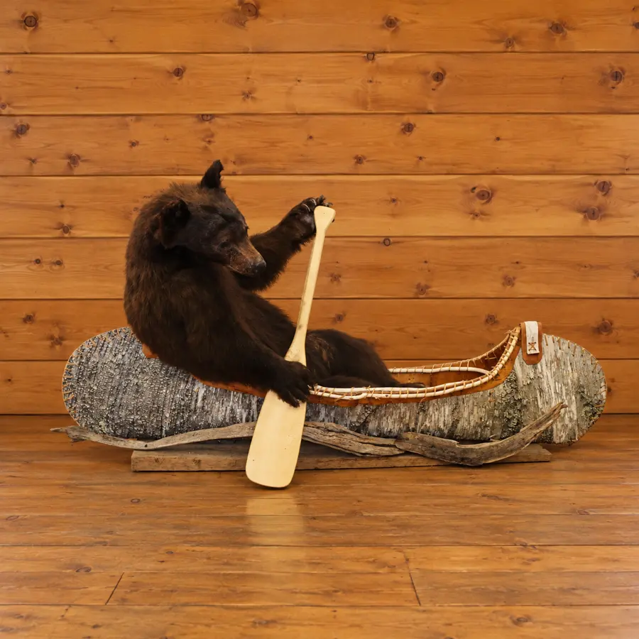 Birchwater Black Bear Canoe Mount in a rustic cabin