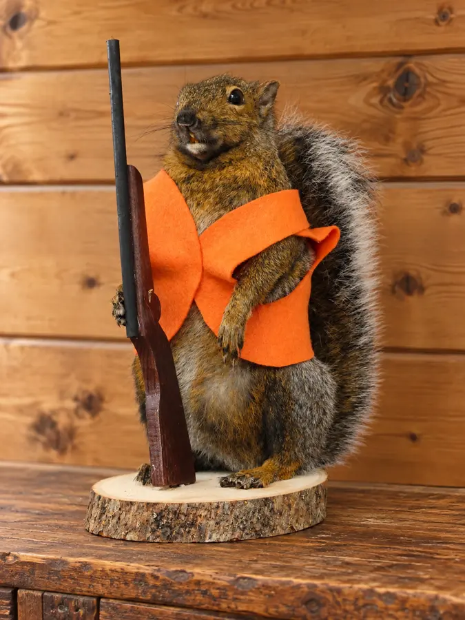 Orange Vest Woodland Hunter Squirrel Mount in a rustic cabin