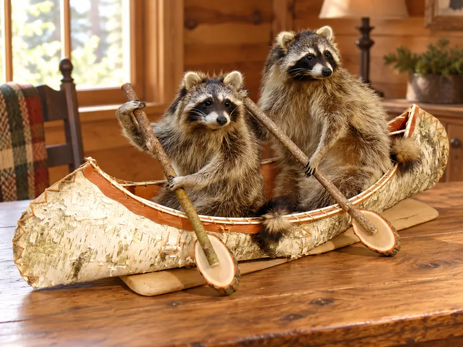 Birch Canoe Raccoon Paddlers in a rustic cabin