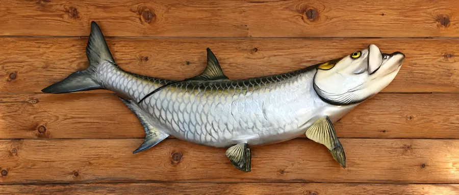Silver Current Tarpon Reproduction in a rustic cabin