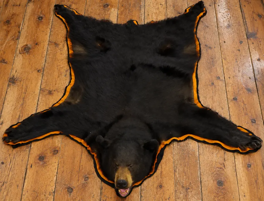 Blackwood Lodge Black Bear Rug in a rustic cabin