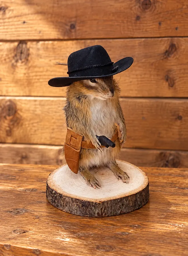 Little Trail Cowboy Chipmunk in a rustic cabin