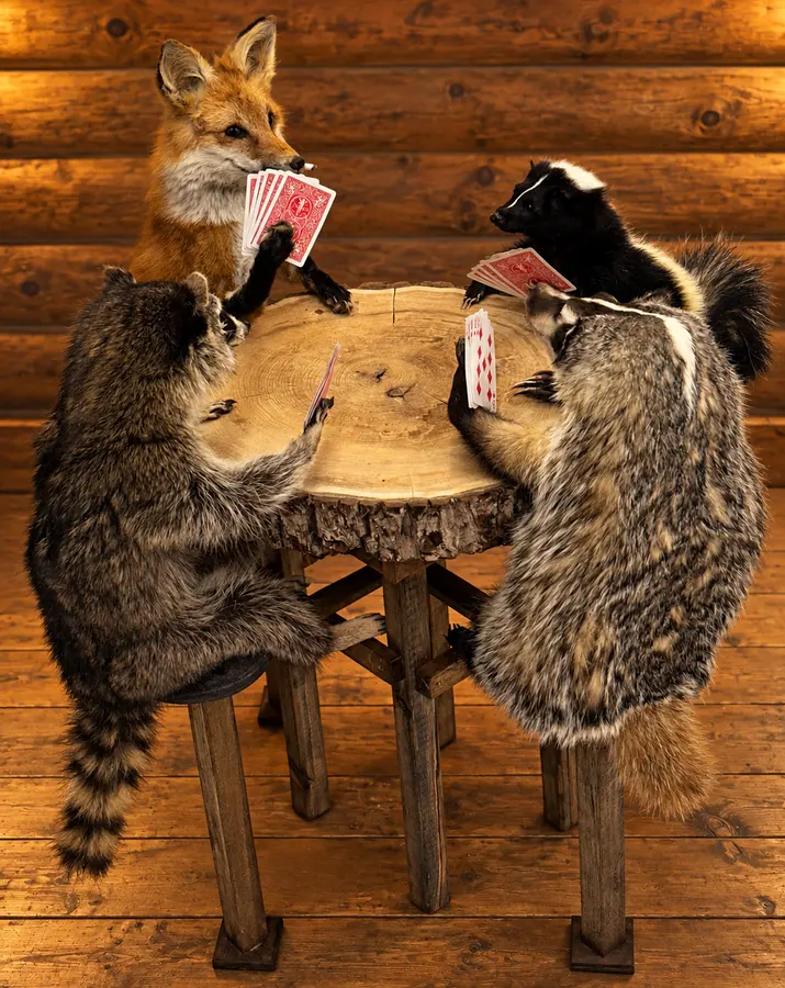 Woodland Poker Gathering in a rustic cabin