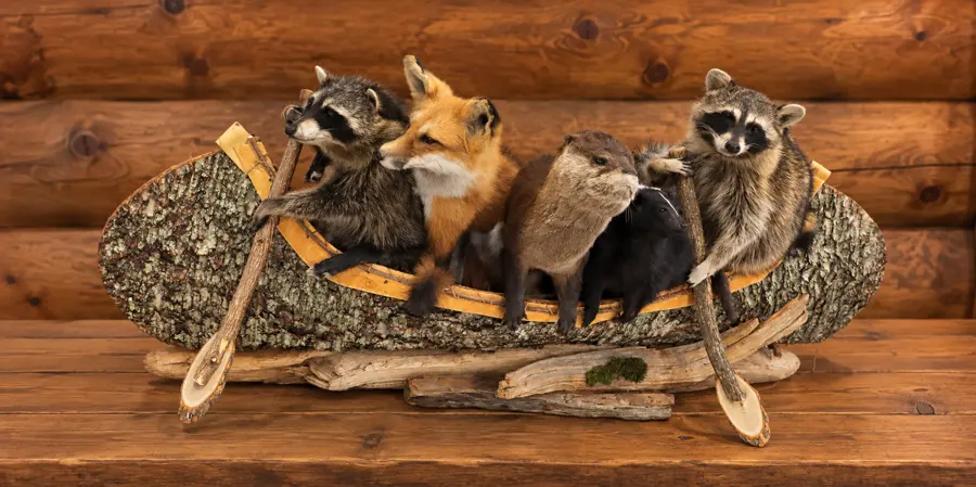 Birch Canoe Woodland Crew in a rustic cabin
