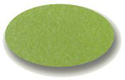 Lime Green actual color sample