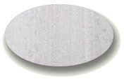 Seashell actual color sample