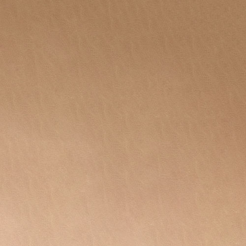 Nantucket Oatmeal actual leather sample