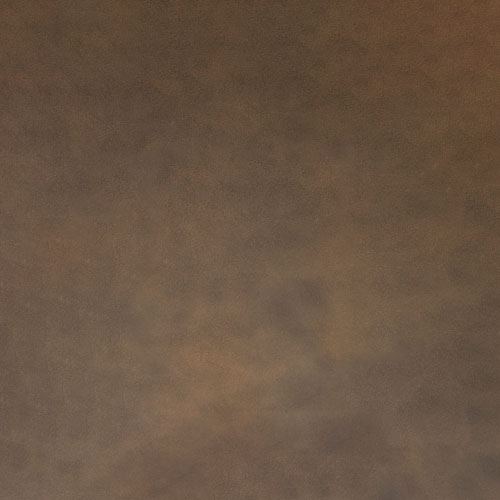 Open Range Walk The Walk actual leather sample