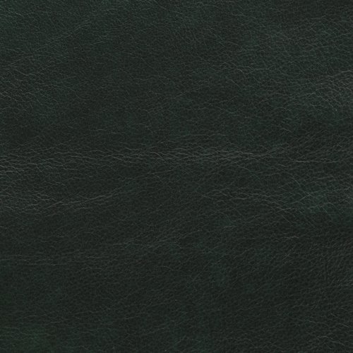 Revelation Bayberry actual leather sample