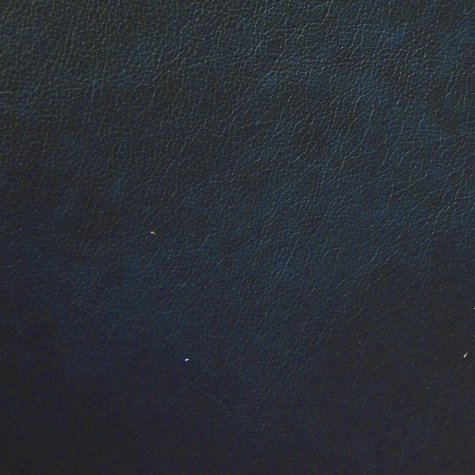 Revelation Oceanic actual leather sample