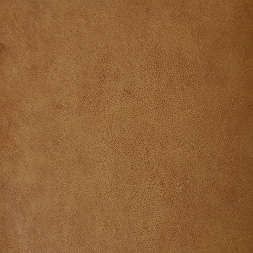 Road Warrior Boundaries actual leather sample