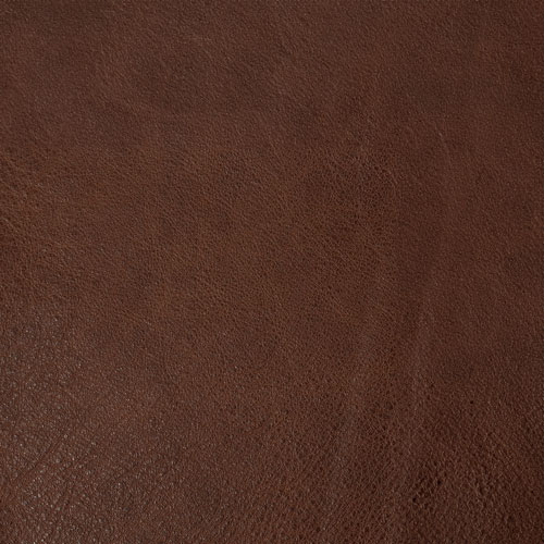 Road Warrior Push The Limit actual leather sample
