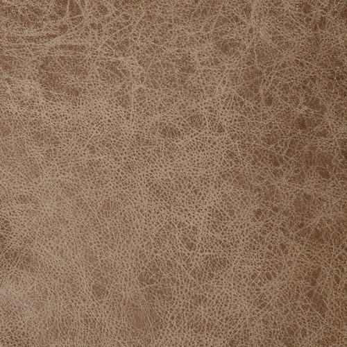 Road Warrior Torque Tan actual leather sample