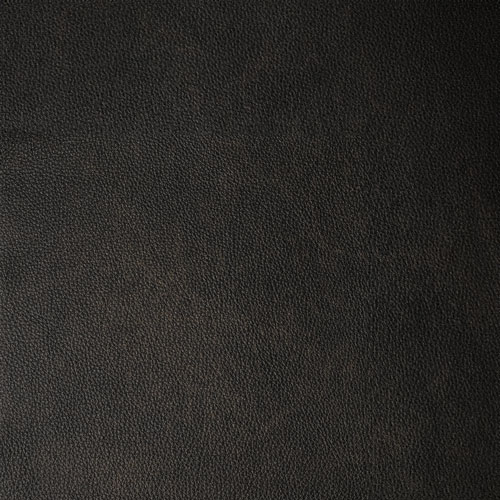 Run Wyld Ruins actual leather sample