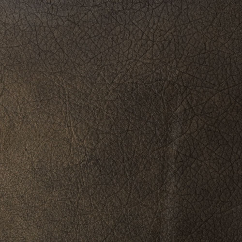 Run Wyld Sire actual leather sample