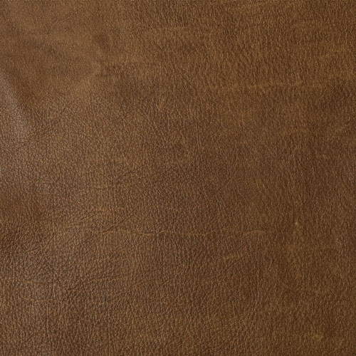 Run Wyld Wyld Buck actual leather sample