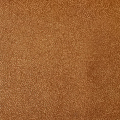 Tribe Chestnut actual leather sample